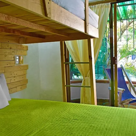 My Local Home Vallarta-2
